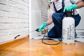 Best Termite Inspection and Treatment  in Palo Cedro, CA